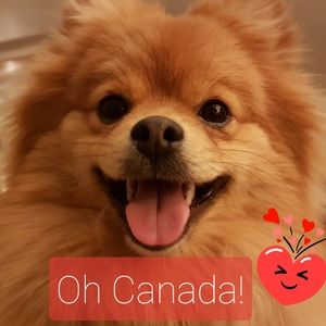 Meet your Posher, Meredith